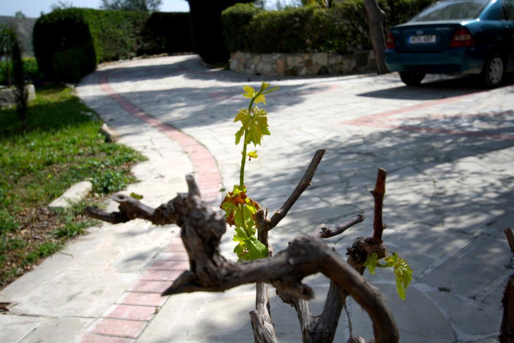 Alonia Villas Pissouri Exterior foto