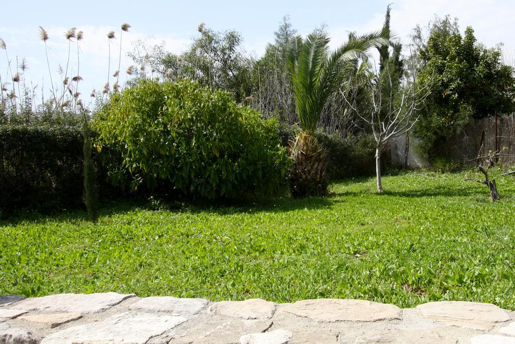 Alonia Villas Pissouri Exterior foto