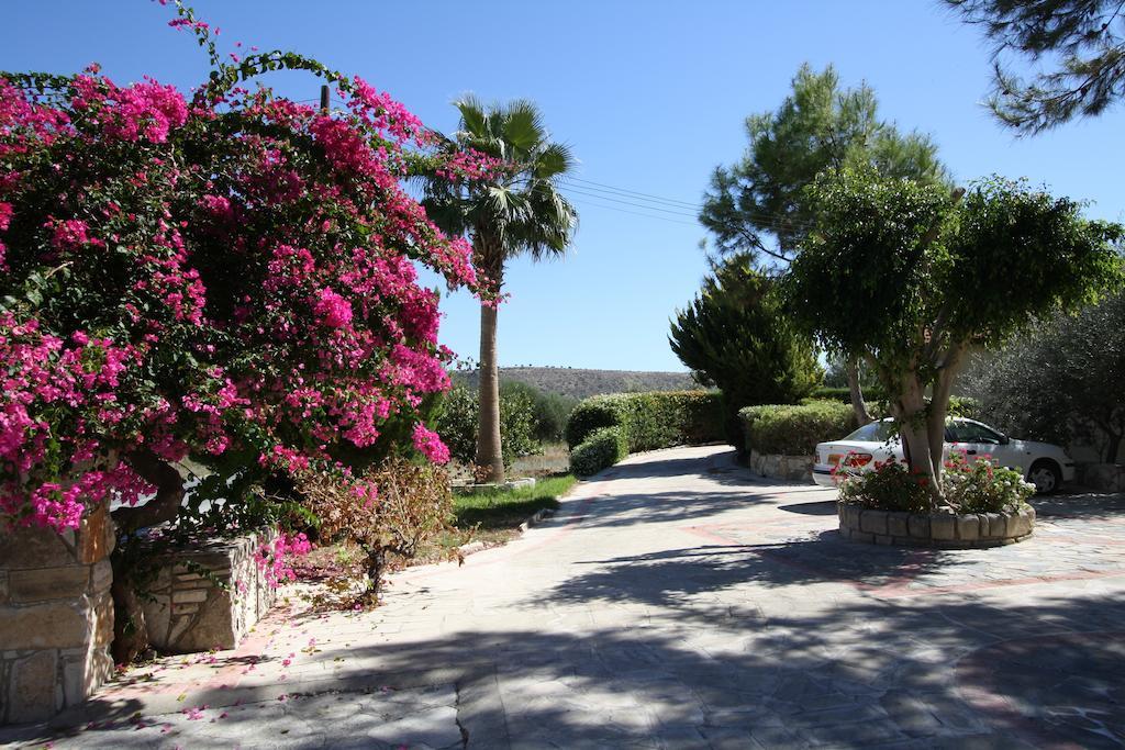 Alonia Villas Pissouri Exterior foto